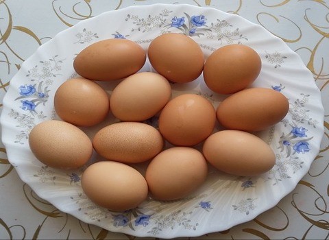 تصویر 3 از قیمت خرید تخم مرغ ارگانیک محلی + فروش ویژه